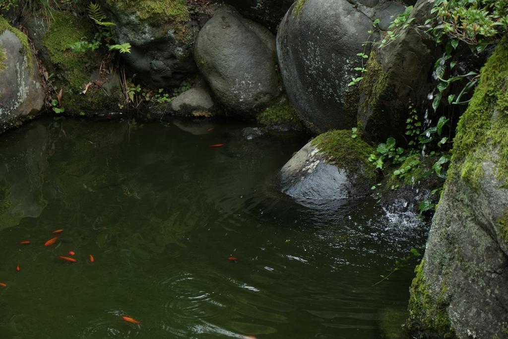 富山市 越中八尾ベース おやつヴィラ エクステリア 写真